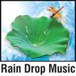 Raindrop Logo
