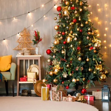 New Year/Christmas/Holi