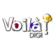 Voila Digi Private Limited