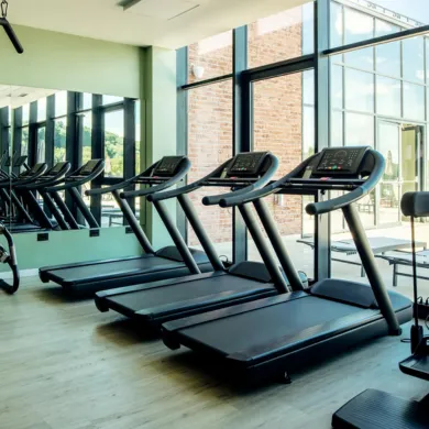 Background - Gymnasiums